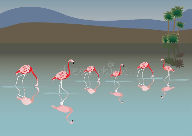 Flamingo cor-de-rosa no lago ilustração do vetor