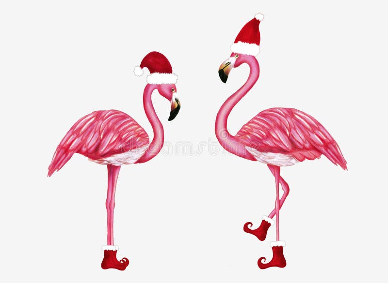 Flamingo de inverno com chapéu e sapatos de Papai Noel Design de Natal para cartas, fundos, tecido, papel de embrulho Feliz Natal ilustração stock