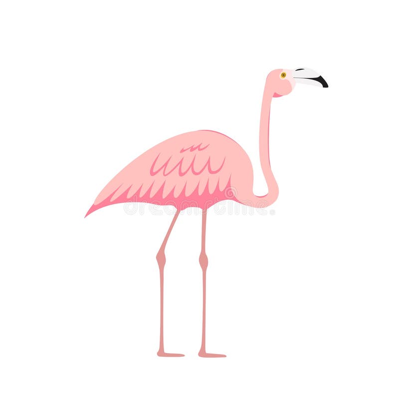 Flamingo decorativo color rosa aislado en fondo blanco. ilustración vectorial stock de ilustración