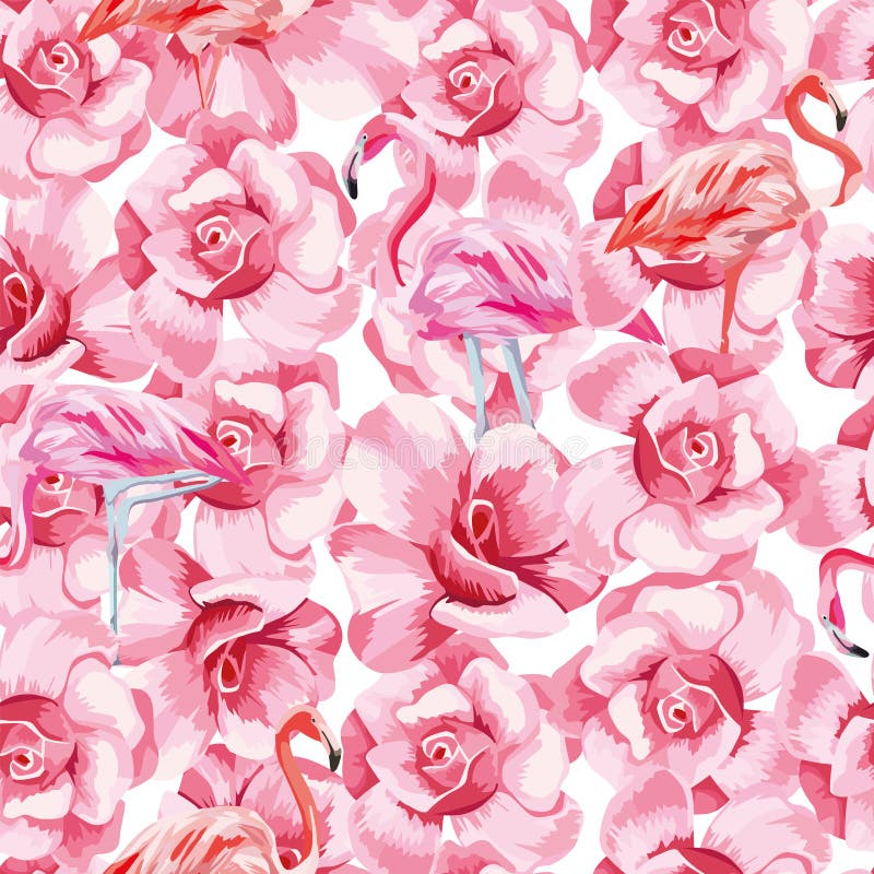 Flamingo do rosa da composição e fundo sem emenda do branco das rosas ilustração stock