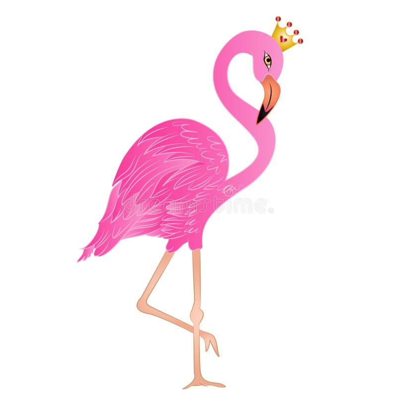 Flamingo do rosa da ilustração do vetor ilustração stock