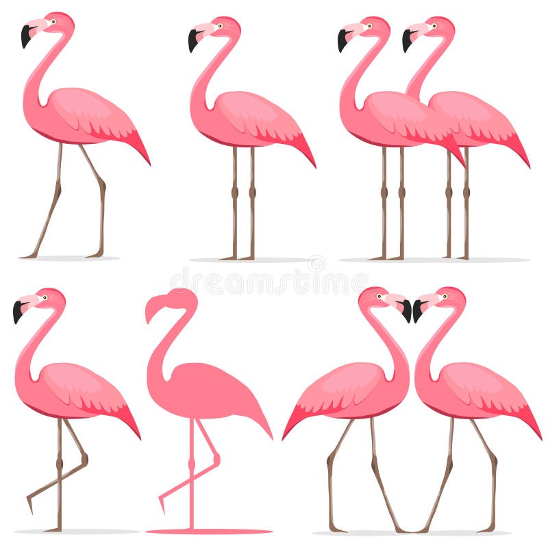 Flamingo en uppsättning av rosa flamingo royaltyfri illustrationer Flamingo en uppsättning av rosa flamingo royaltyfri illustrationer