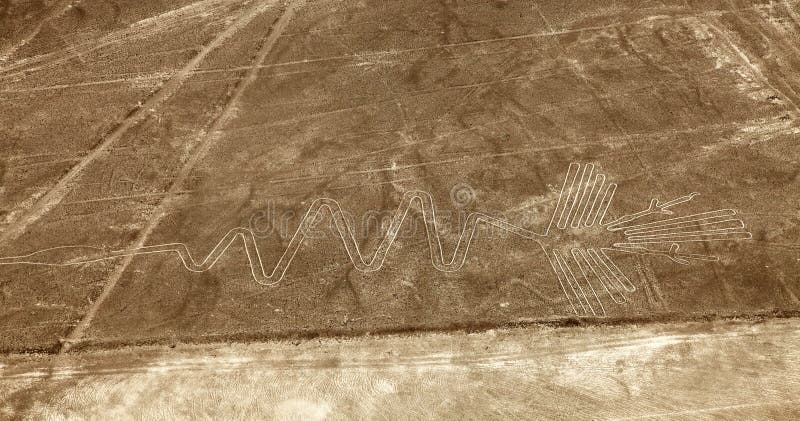 Flamingo geoglifo nazca misteriose linee perù