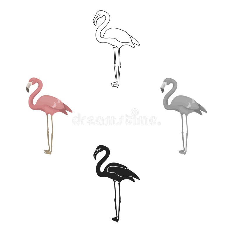 Flamingo Icon in Cartoon,black Style Isolated on White Background. Bird Symbol Stock Vector Illustration. Stock Vector - Illustration of cute, animal: 149568043 Flamingo Icon in Cartoon,black Style Isolated on White Background. Bird Symbol Stock Vector Illustration. Stock Vector - Illustration of cute, animal: 149568043