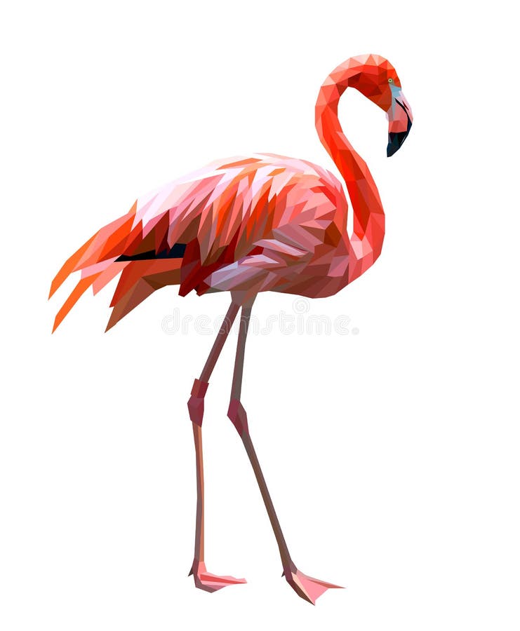 Flamingo stock vector. Illustration of vector, neck - 122611726
