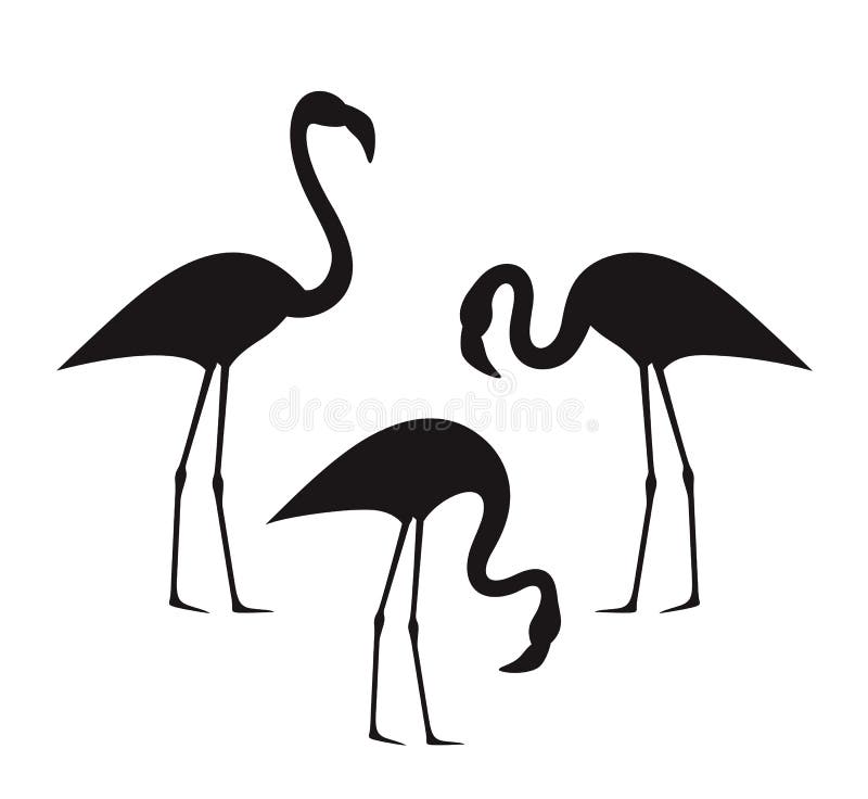 Flamingo Silhouette. Isolated Flamingo on White Background Stock Vector ...
