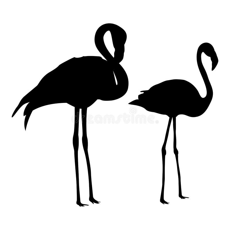 Flamingo Silhouettes Set Isolated On White Background Stock Vector ...