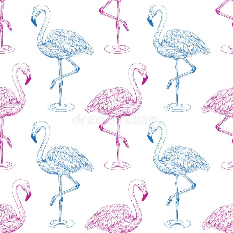 Flamingo sketch seamless pattern. Blue and pink flamingos on white background