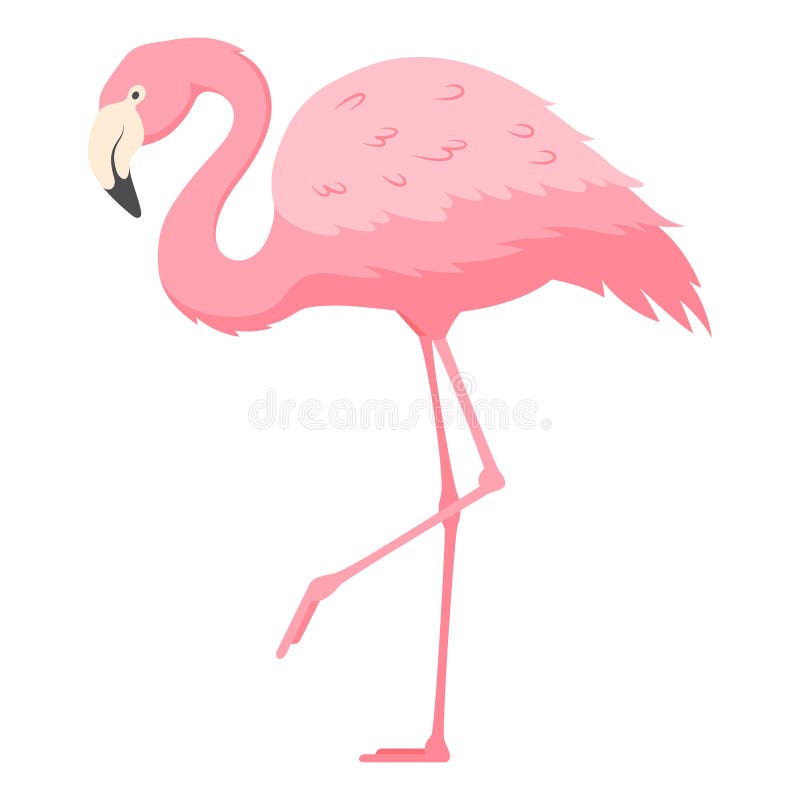 Flamingo stând pe o ilustrație vectorială cu un picior plat stock illustration