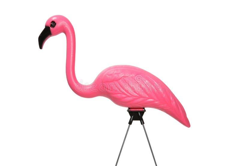 Flamingo trawnika różowy
