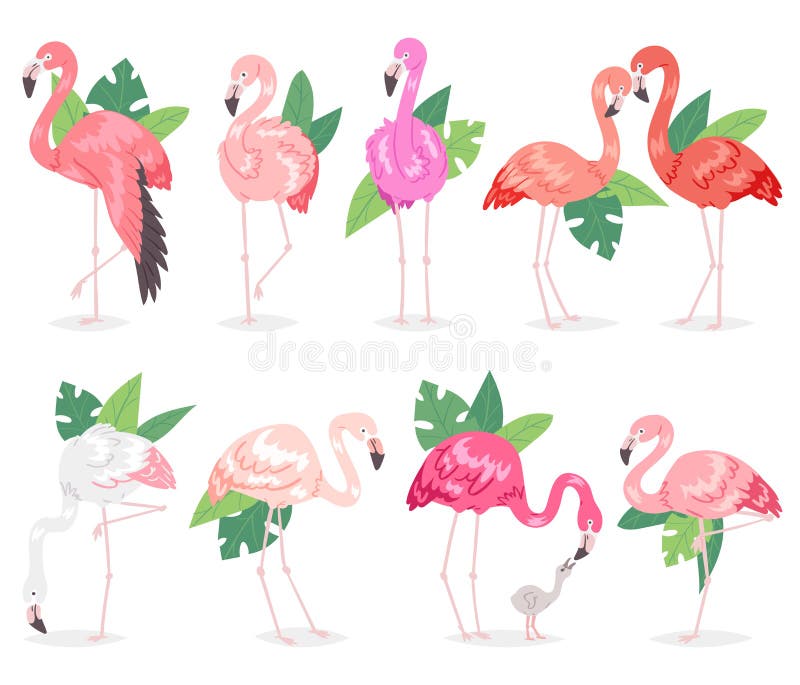Flamingo vector tropical pink flamingos and exotic bird with palm leaves illustration set of fashion birdie in tropics stock illustration Flamingo vector tropical pink flamingos and exotic bird with palm leaves illustration set of fashion birdie in tropics stock illustration