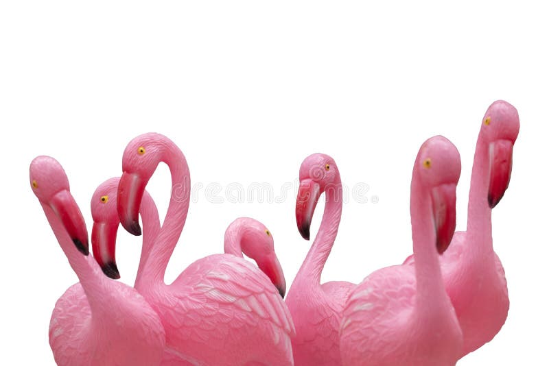 Flamingobakgrund isolerad. StrÃ¥lning av en grupp av rosa flamingor av plast med selektivt fokus isolerat pÃ¥ en vit bakgrund arkivfoto