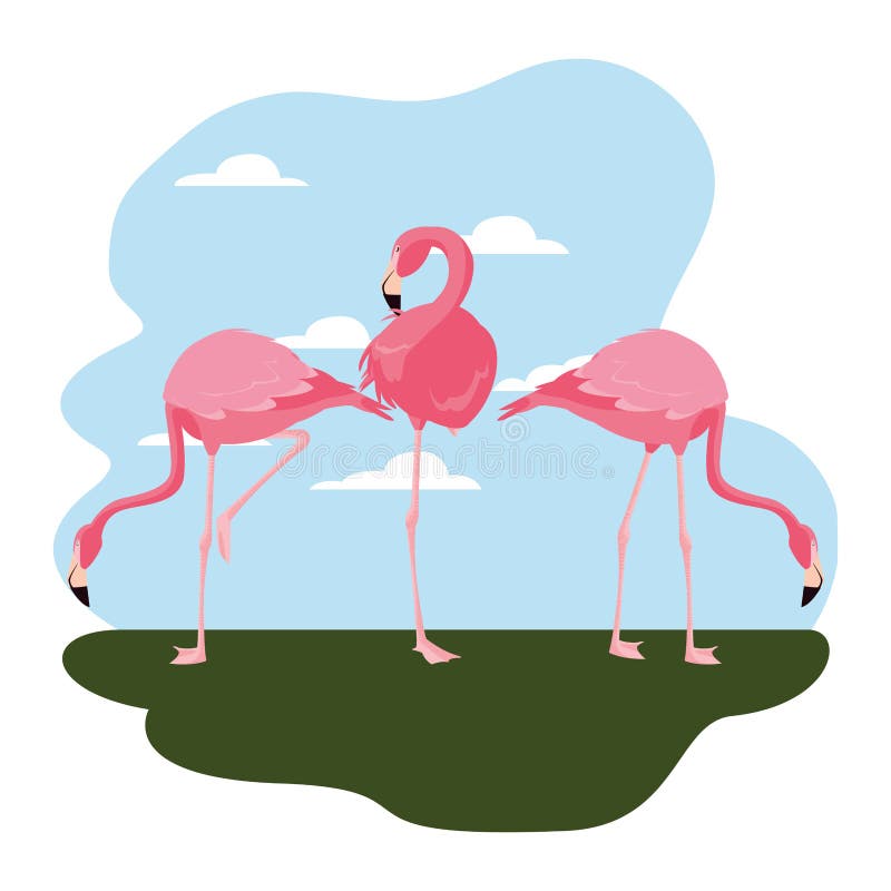 Flamingos bird standing stock vector. Illustration of beautiful - 139223366