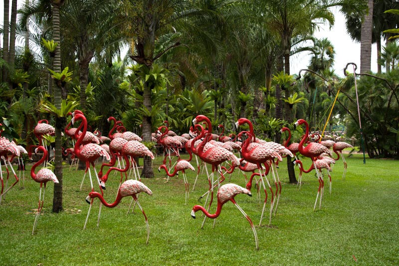 flamingo garden orchid judging flamingo garden orchid judging