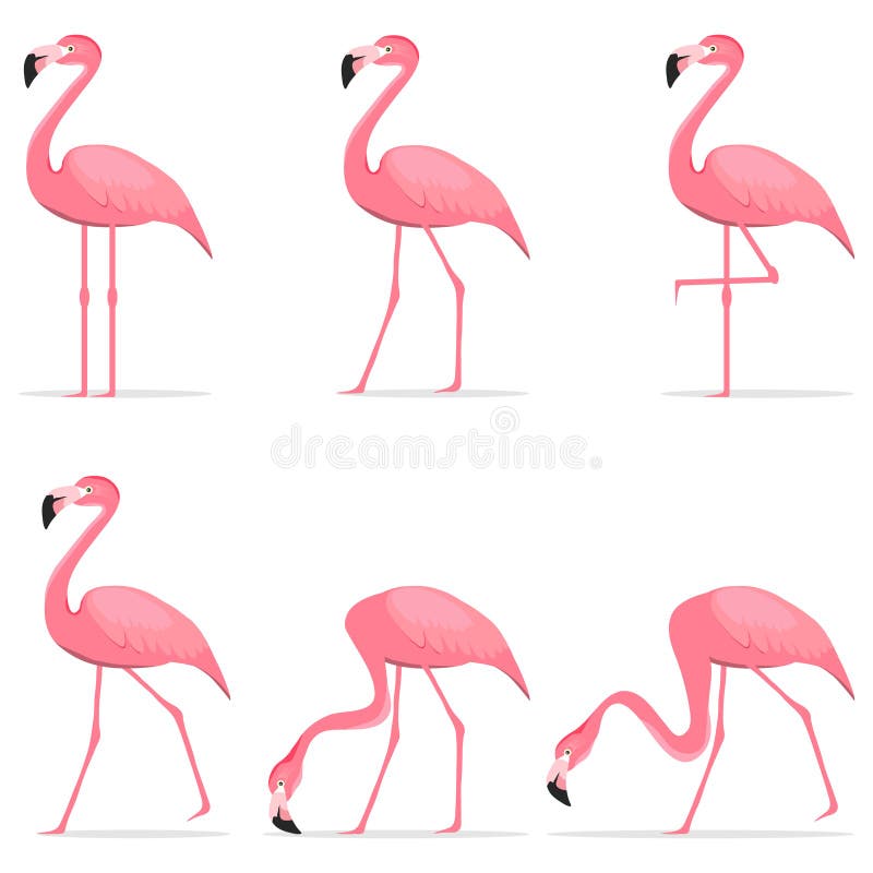 Flamingo, a Set of Pink Flamingos Stock Vector - Illustration of ...