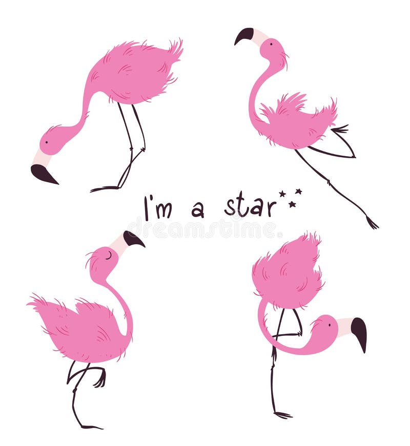 Flamingos vector illustration