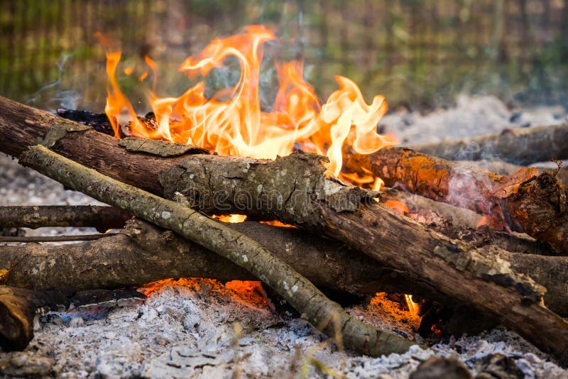 A close up of a campfire. A close up of a campfire