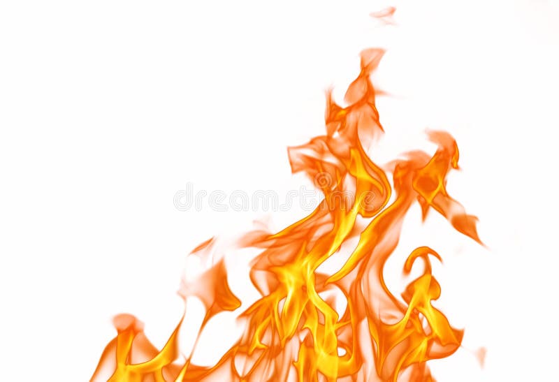Fire flame isolated on white backgound. Fire flame isolated on white backgound
