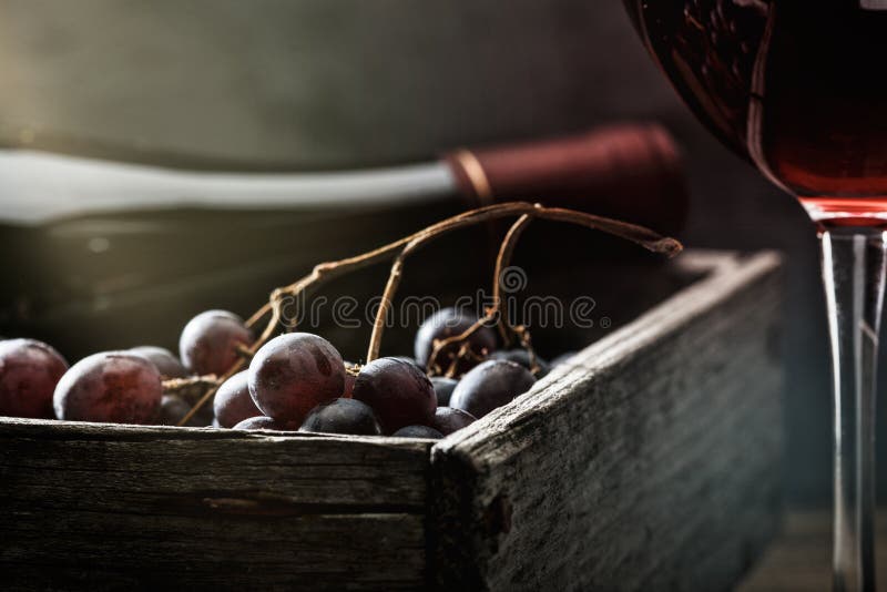 Flasche und Glas Rotwein, frische Trauben in einer Holzkiste stockbild Flasche und Glas Rotwein, frische Trauben in einer Holzkiste stockbild