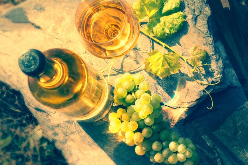Flasche und volles Glas Weißwein über Weinberghintergrund Wi stockbild Flasche und volles Glas Weißwein über Weinberghintergrund Wi stockbild