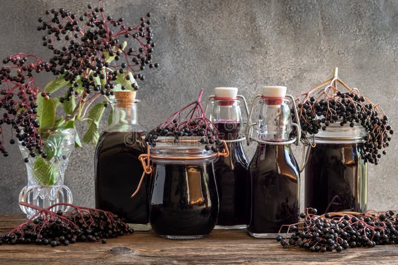 Bottles of black elder syrup with fresh berries. Bottles of black elder syrup with fresh berries