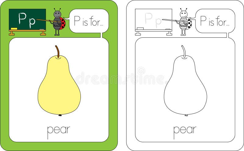 Flashcard for English language - letter P is for pear. Letter p pear vectors