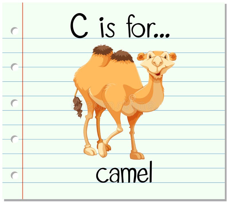 Camel Flashcard Stock Illustrations – 21 Camel Flashcard Stock