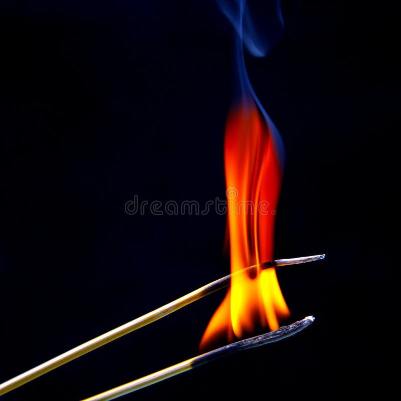 391 Matchstick Tree Stock Photos Free & RoyaltyFree Stock Photos