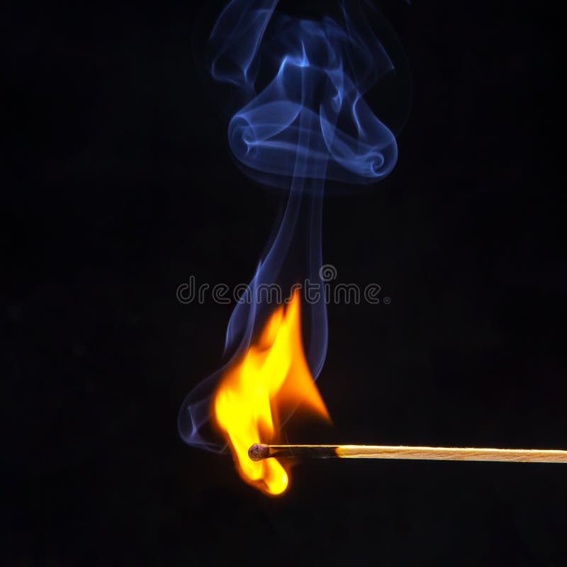 389 Matchstick Tree Stock Photos Free & RoyaltyFree Stock Photos