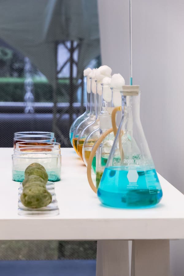 Flask and color at the laboratory stock images