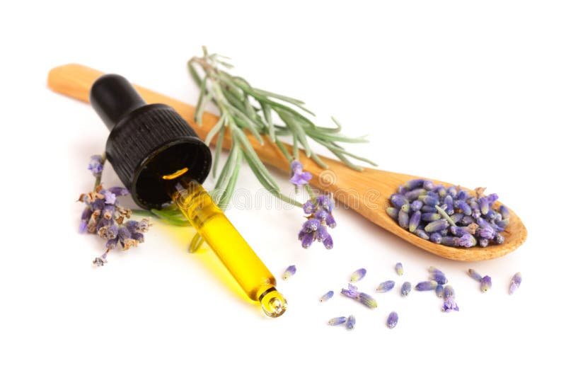 Flaska med aromolja- och lavendelblommor som isoleras på vit bakgrund royaltyfri foto Flaska med aromolja- och lavendelblommor som isoleras på vit bakgrund royaltyfri foto