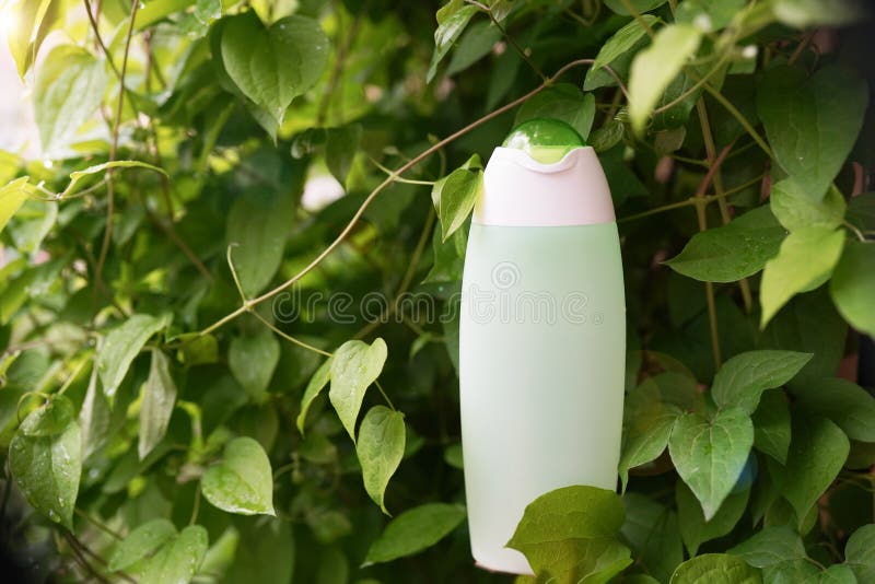 Flaska med den naturliga kosmetiska produkten: lotion eller schampo med nya örter grön bakgrund, bästa sikt Skönhet, hud, hår ell royaltyfria bilder Flaska med den naturliga kosmetiska produkten: lotion eller schampo med nya örter grön bakgrund, bästa sikt Skönhet, hud, hår ell royaltyfria bilder