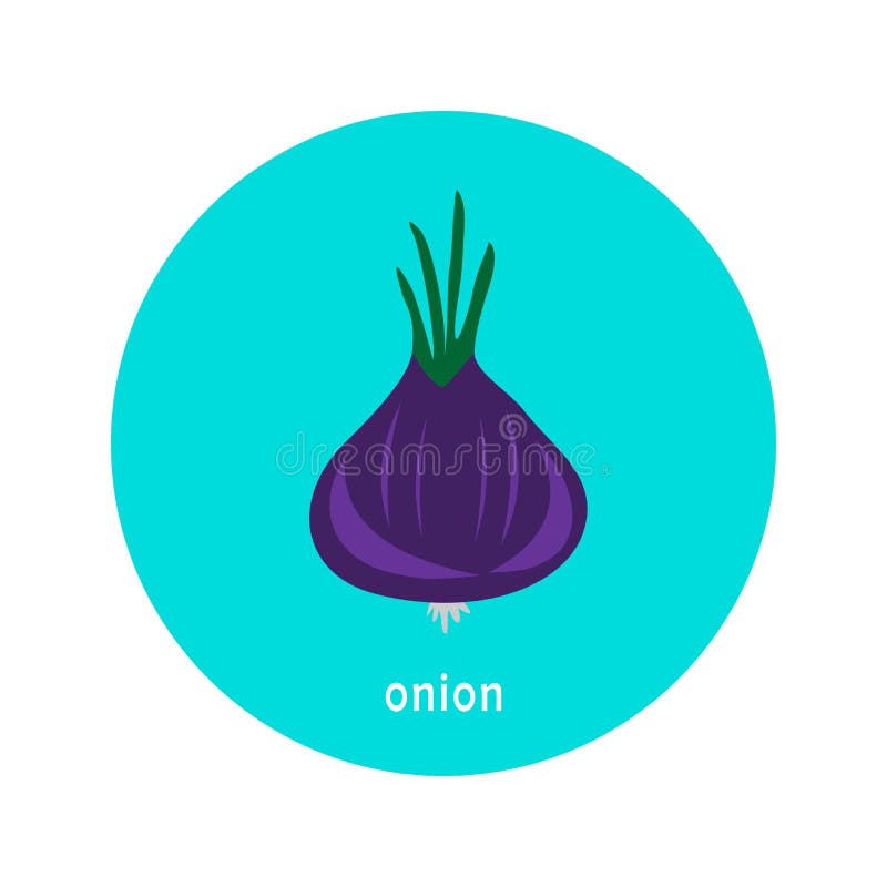 Vector Purple Onion Icon Isolated on White Background. Stock Vector