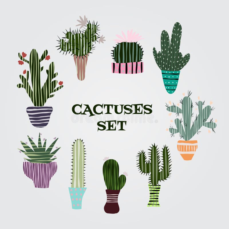 Free Vector, Cute cactus collection in flat design