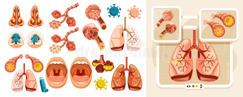 Flat Composities voor Lung Health and Medical Education stock illustratie