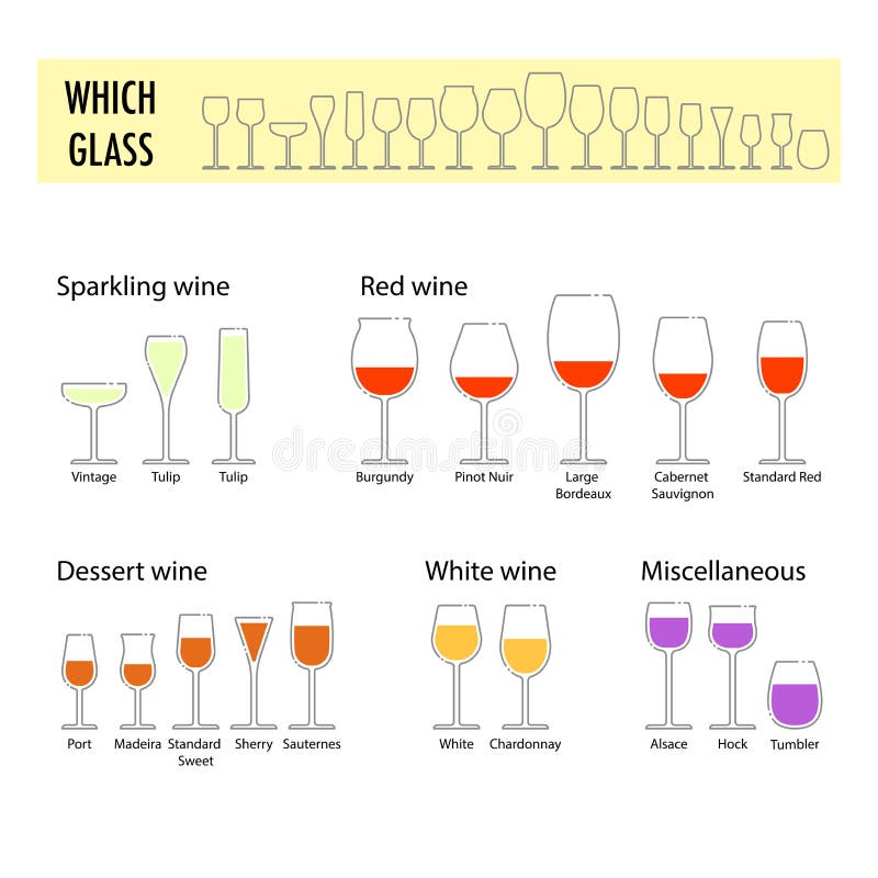 Types of Wine Glasses (Infographic) for Beginners