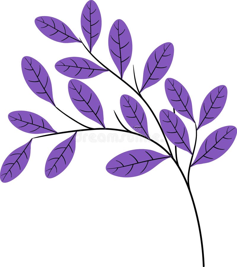 flat draw illustration of a plant, a branch of a plant with dense, lush, purple-tinged leaves, creative drawing. flat draw illustration of a plant, a branch of a plant with dense, lush, purple-tinged leaves, creative drawing