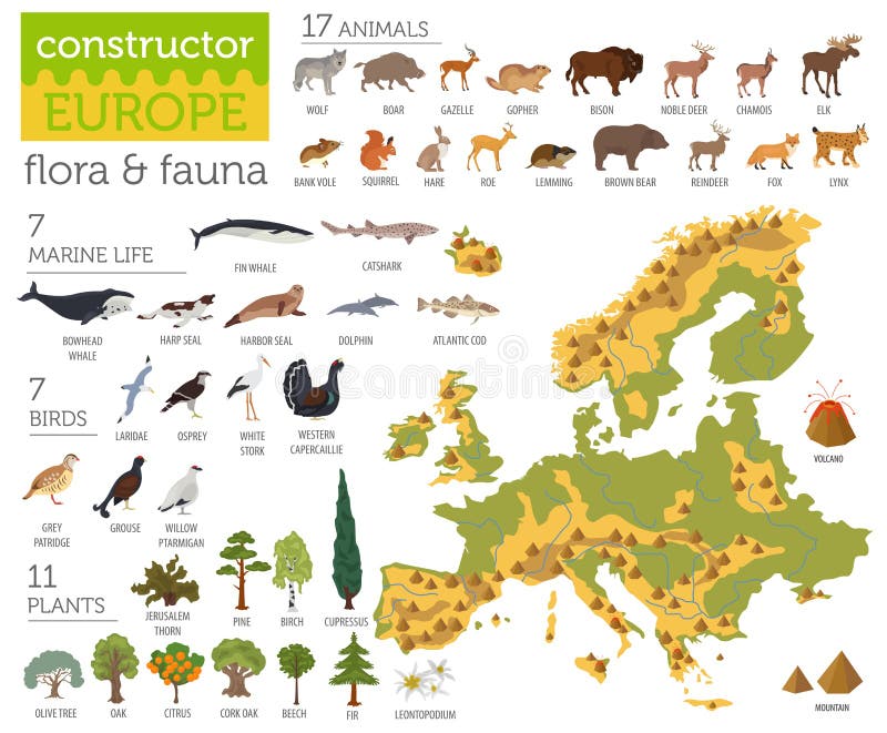 Flat European flora and fauna map constructor elements. Animals, birds and sea life isolated on white big set. Build your own geo