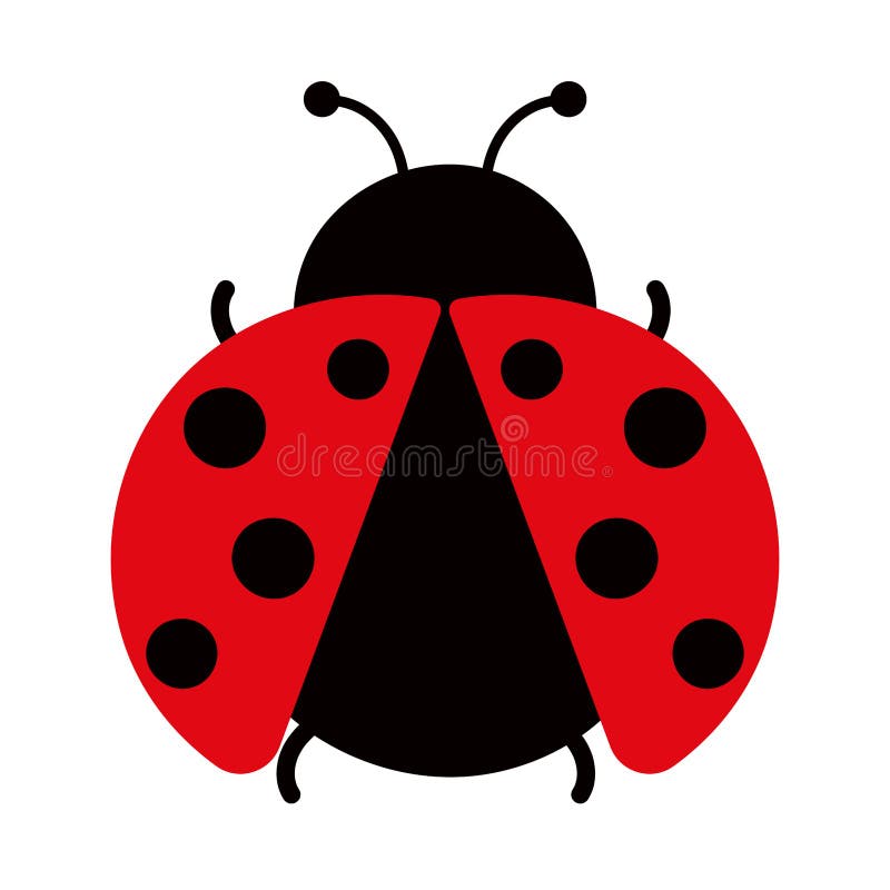 Cute Ladybug Insect Animal Animated PNG Illustration Stock Photo -  Illustration of animal, coloring: 258102836