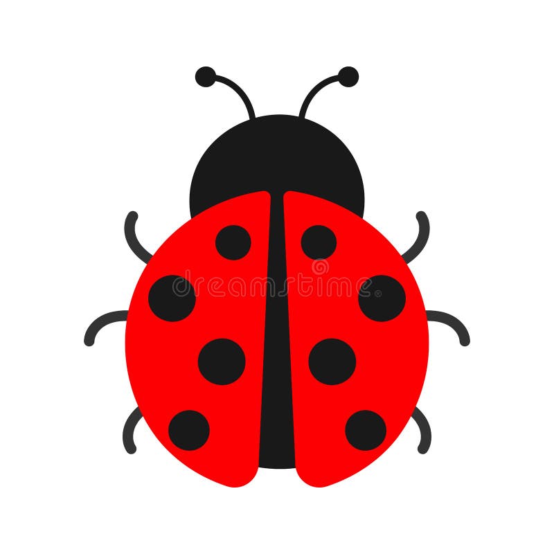 Cute Ladybug Insect Animal Animated PNG Illustration Stock Photo