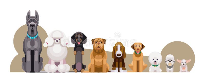 Dogs of Different Breeds by Height