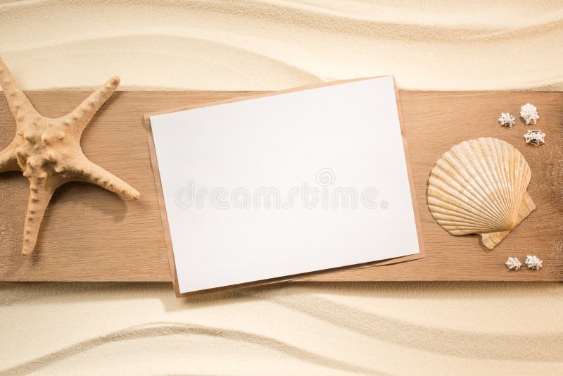 Flat Lay With Blank Paper Sea Star And Seashells On Wooden Plank