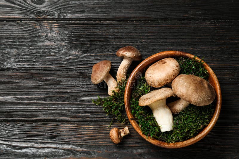 Flat lay composition with fresh wild mushrooms on wooden table, space for text stock images Flat lay composition with fresh wild mushrooms on wooden table, space for text stock images