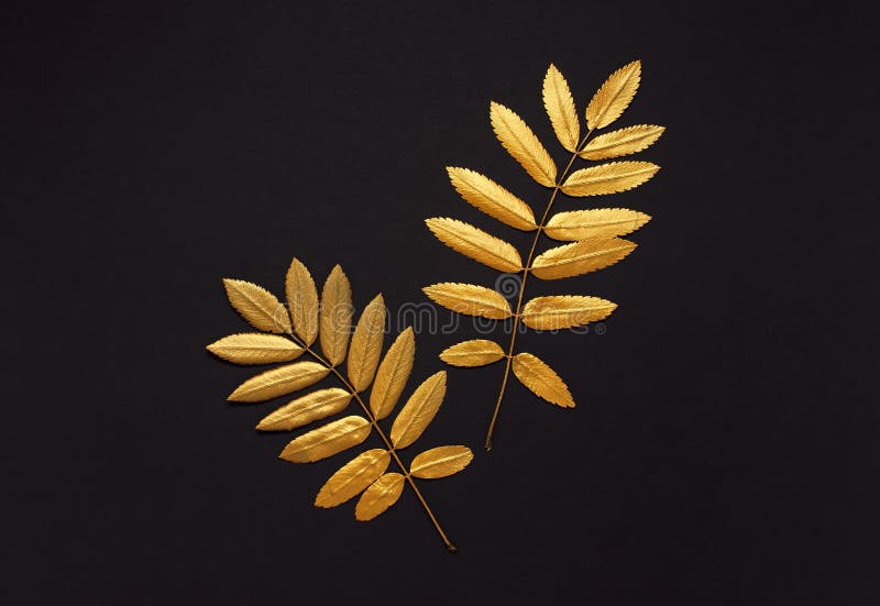 Flat Lay Creative Autumn Composition. Golden Leaves on Black Background Top  View Copy Space. Fall Concept. Autumn Background Stock Photo - Image of  concept, mood: 155339746