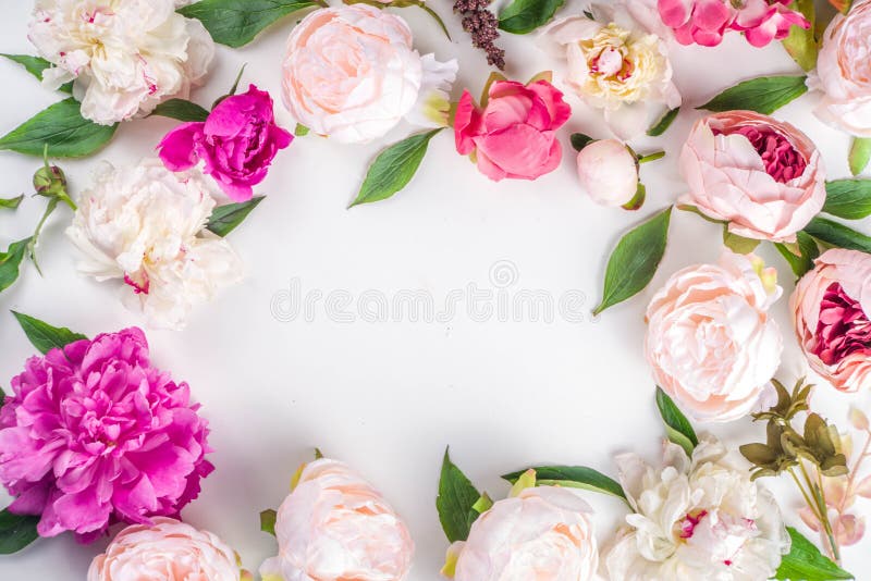 Flat lay of flowers and green leaves