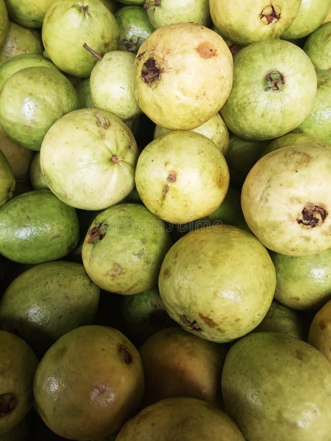 Flat Lay of Guava Fruits royalty free stock images