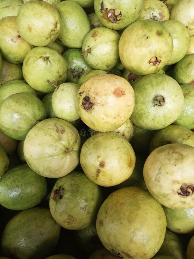 Flat Lay of Guava Fruits stock image