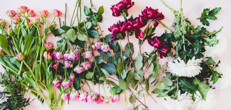 Flat-lay of purple peonies, pink roses, tulips, white chrisanthemums stock image Flat-lay of purple peonies, pink roses, tulips, white chrisanthemums stock image