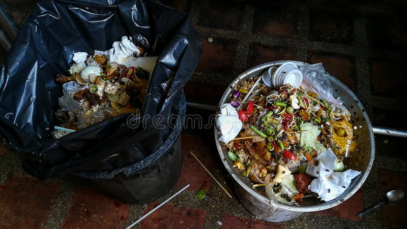 Environment Unfriendly Styrofoam Plates Cups Disposed Plastic