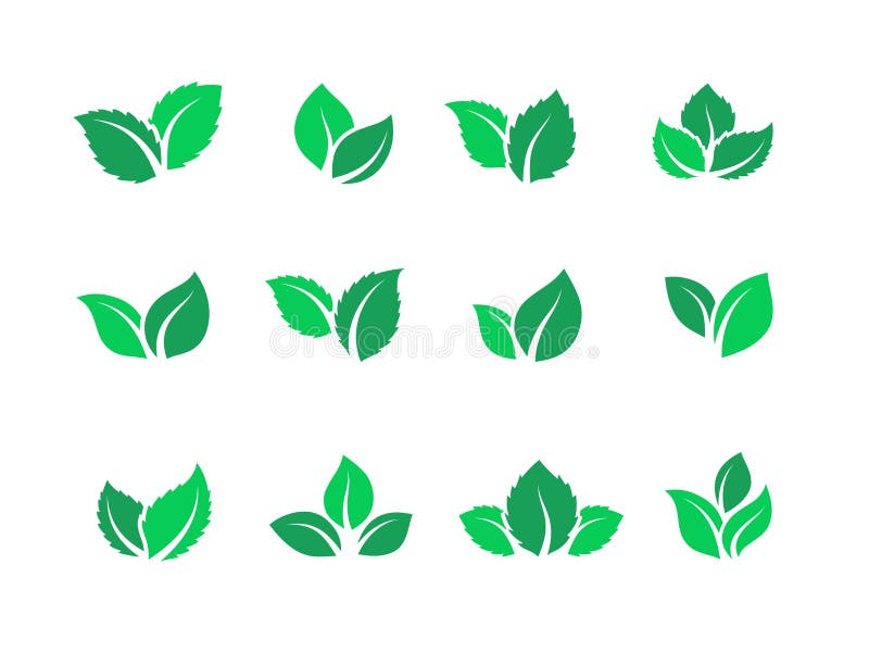 Flat leaves set. Vegan green food logos, farm plant eco energy, simple forest leaf herbal tea label. Vector set of green stock illustration